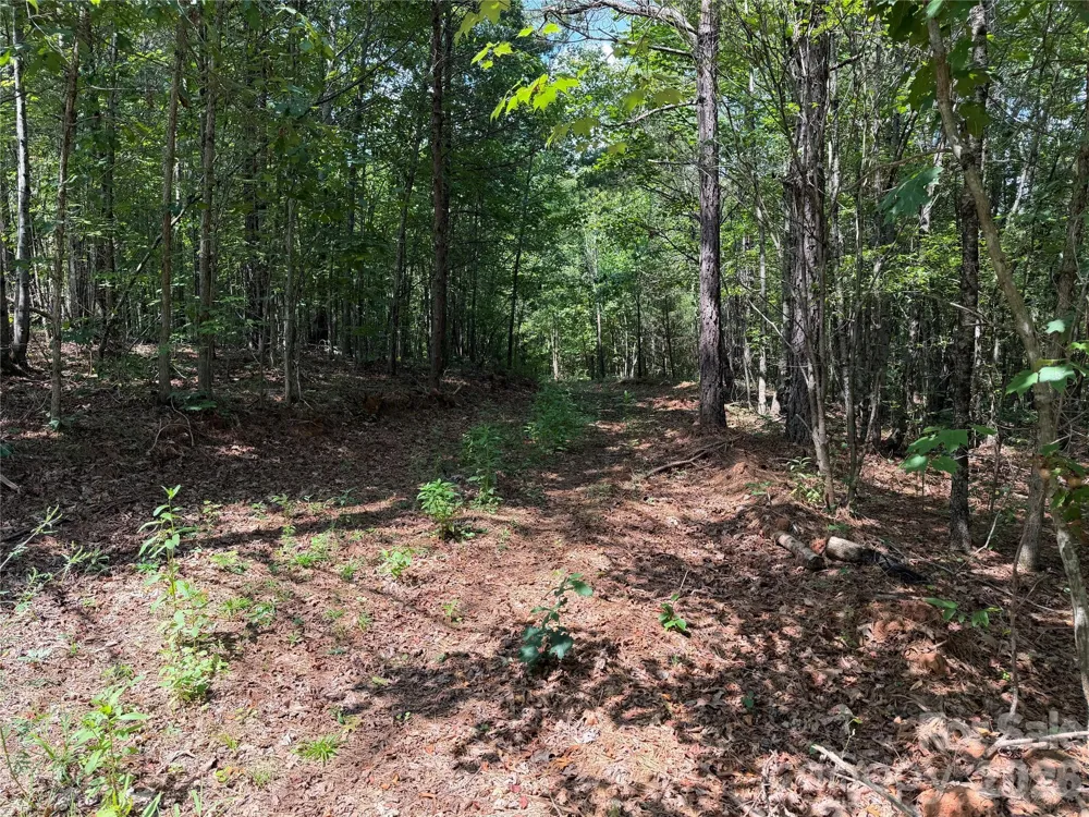 6356 Sunny Ridge Lane Morganton, NC 28655