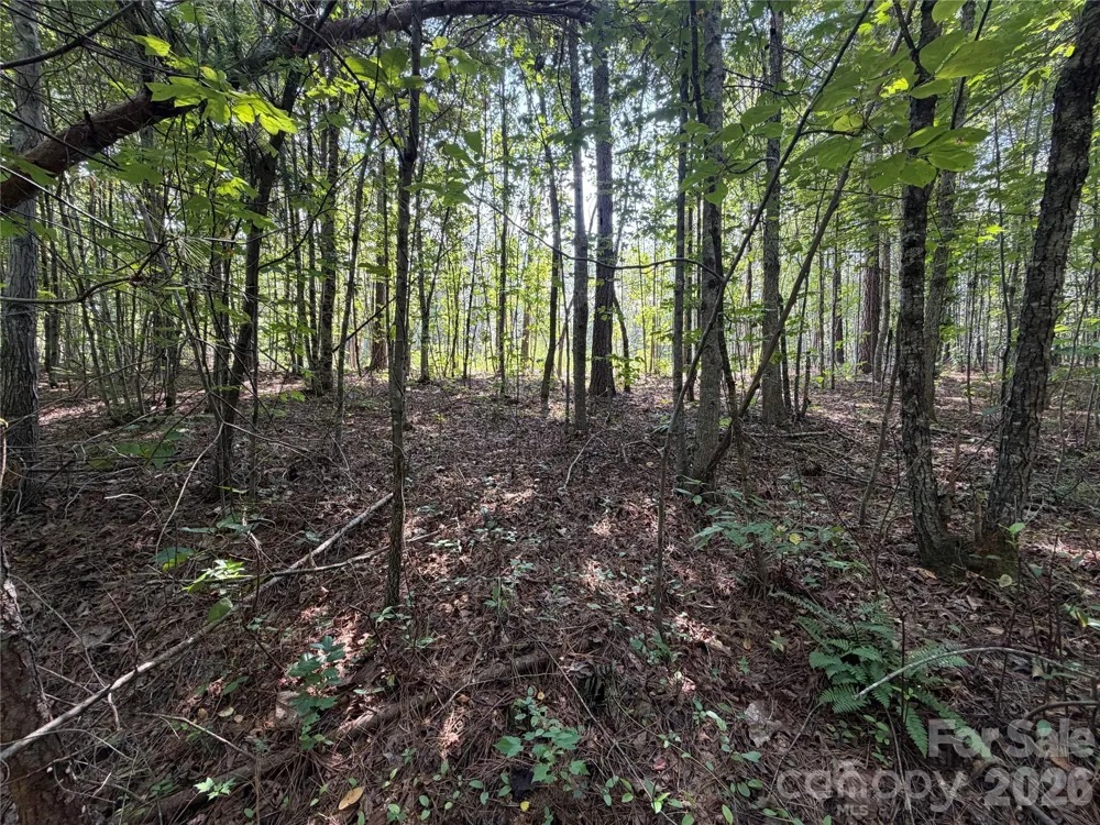 6356 Sunny Ridge Lane Morganton, NC 28655