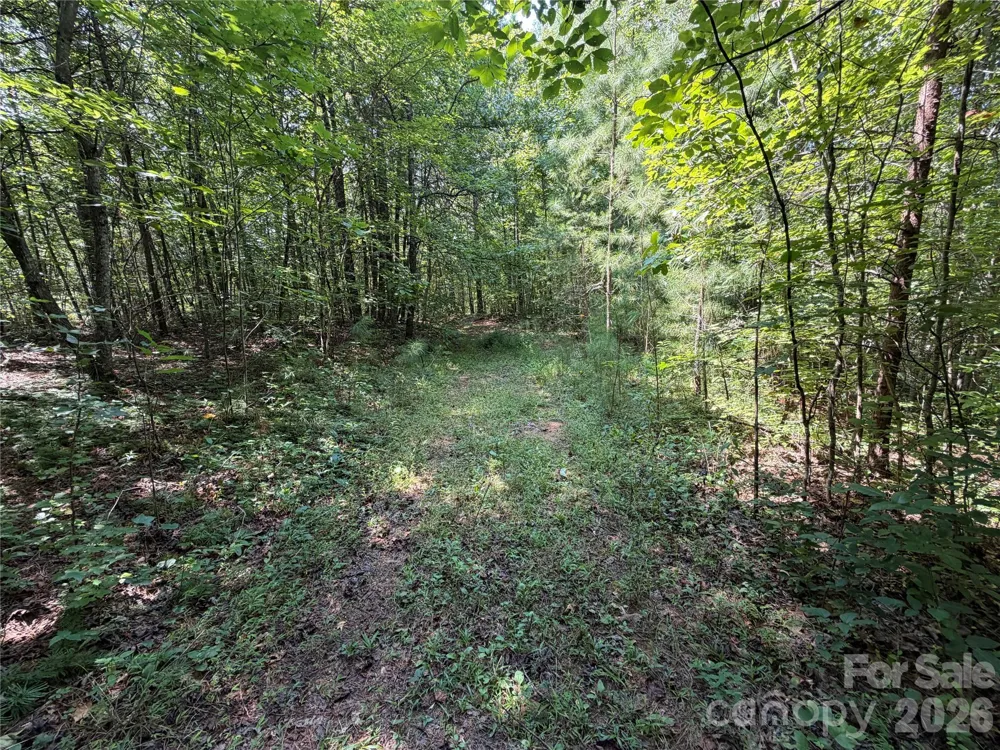 6356 Sunny Ridge Lane Morganton, NC 28655