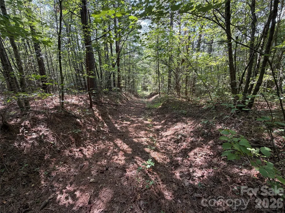 6356 Sunny Ridge Lane Morganton, NC 28655