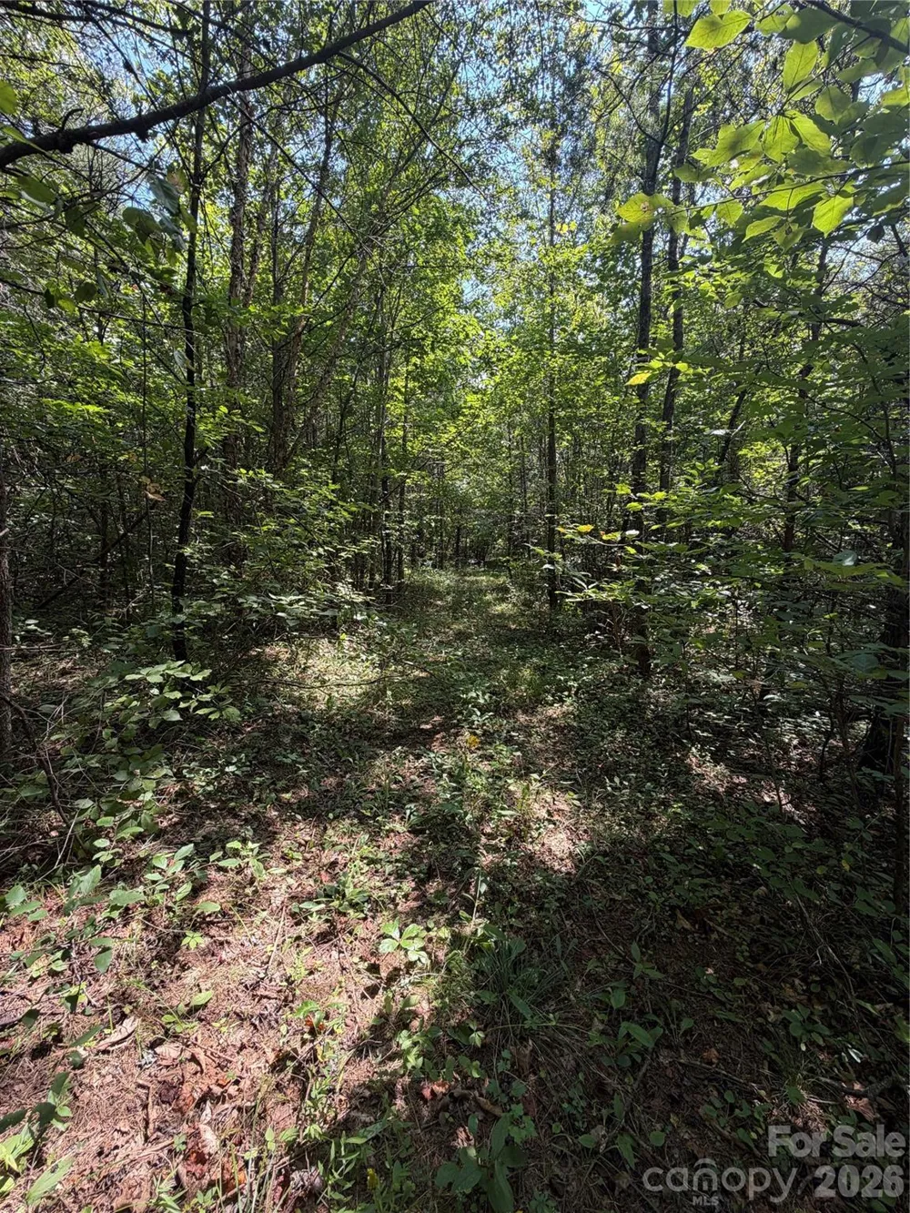 6356 Sunny Ridge Lane Morganton, NC 28655