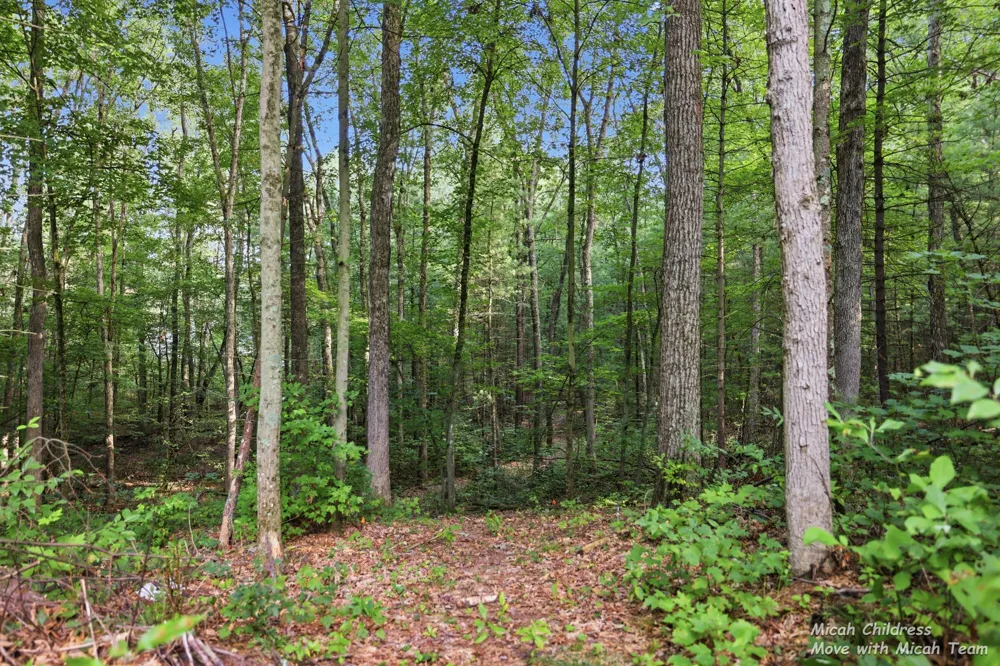 3813 Ryan Woods Circle Valley Township, MI 49010