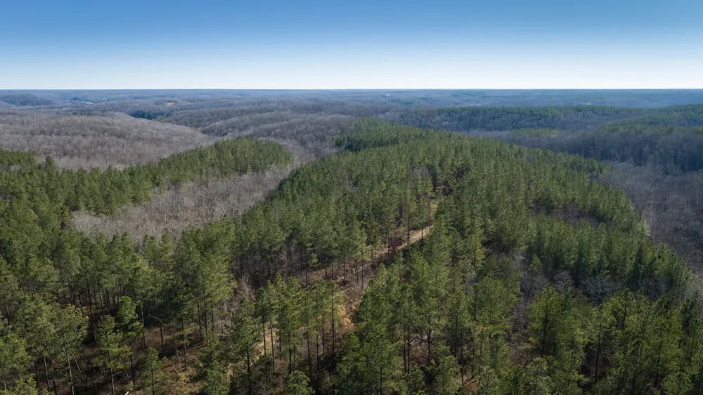 0 Mayfield Divide Rd Centerville, TN 37033