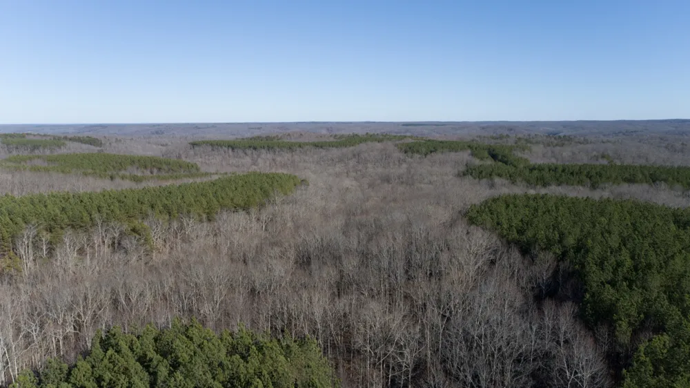0 Mayfield Divide Rd Centerville, TN 37033