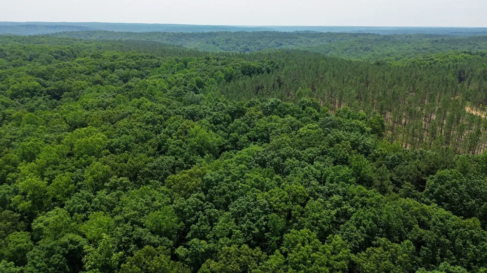 0 Mayfield Divide Rd Centerville, TN 37033