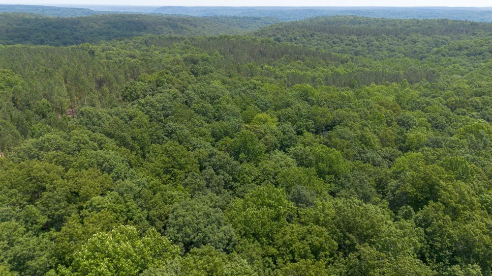 0 Mayfield Divide Rd Centerville, TN 37033