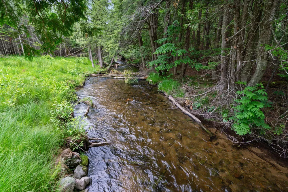1133 W Thumb Lake Road Corwith Township, MI 49795