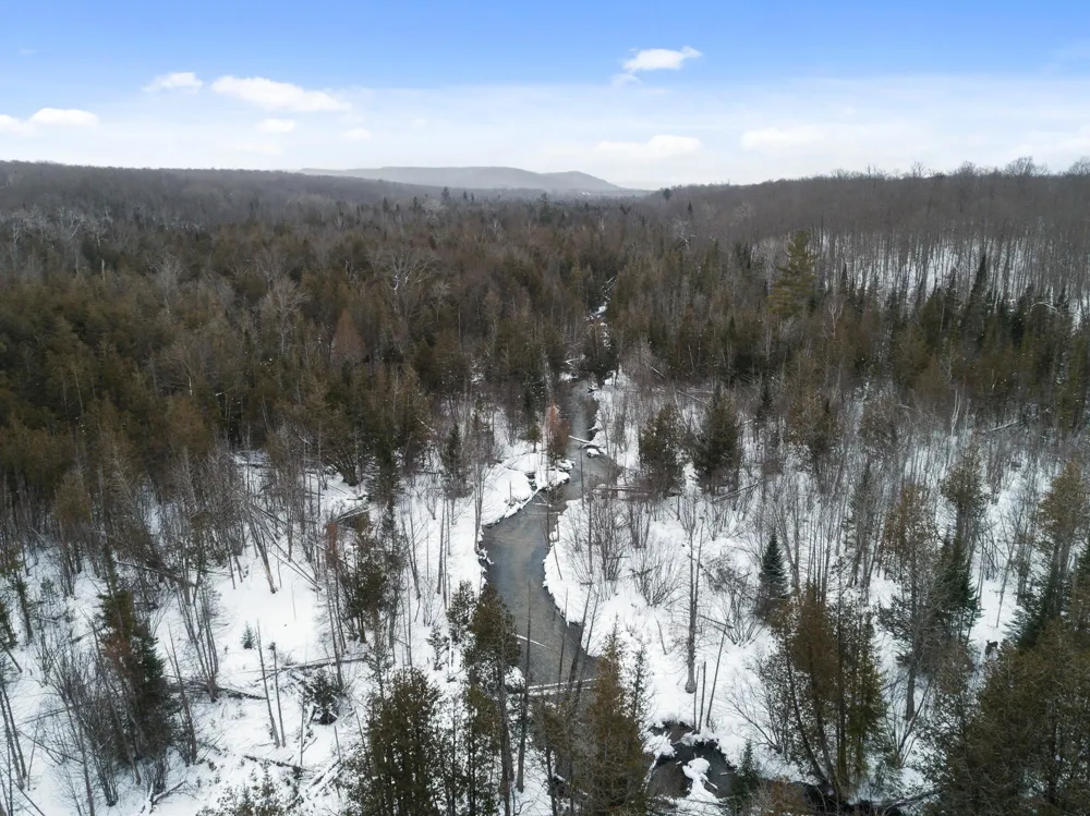 1133 W Thumb Lake Road Corwith Township, MI 49795