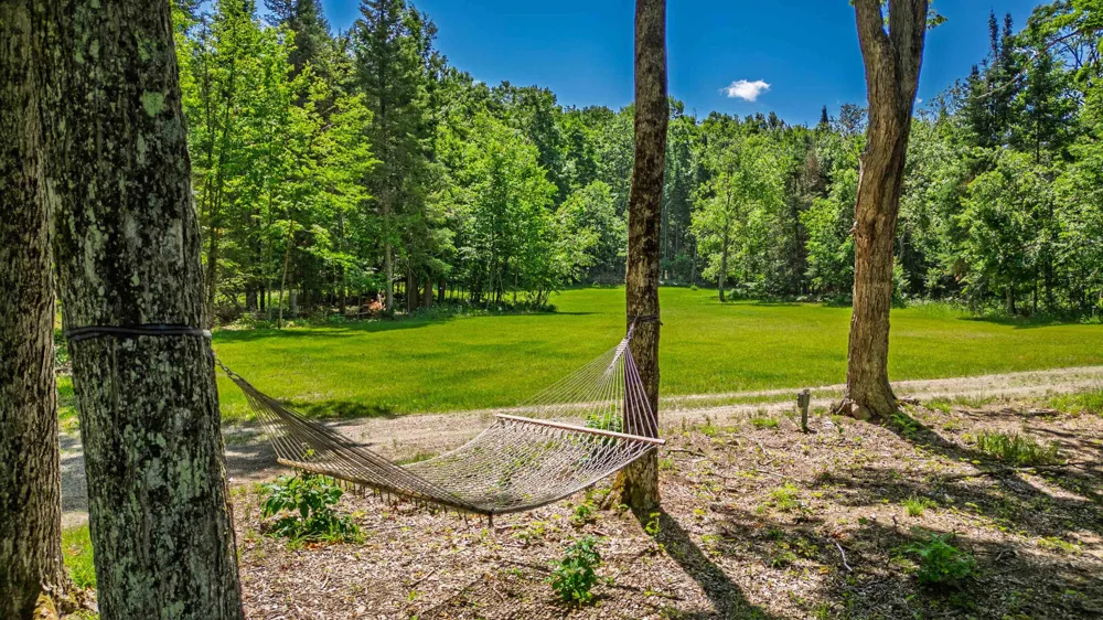 1133 W Thumb Lake Road Corwith Township, MI 49795