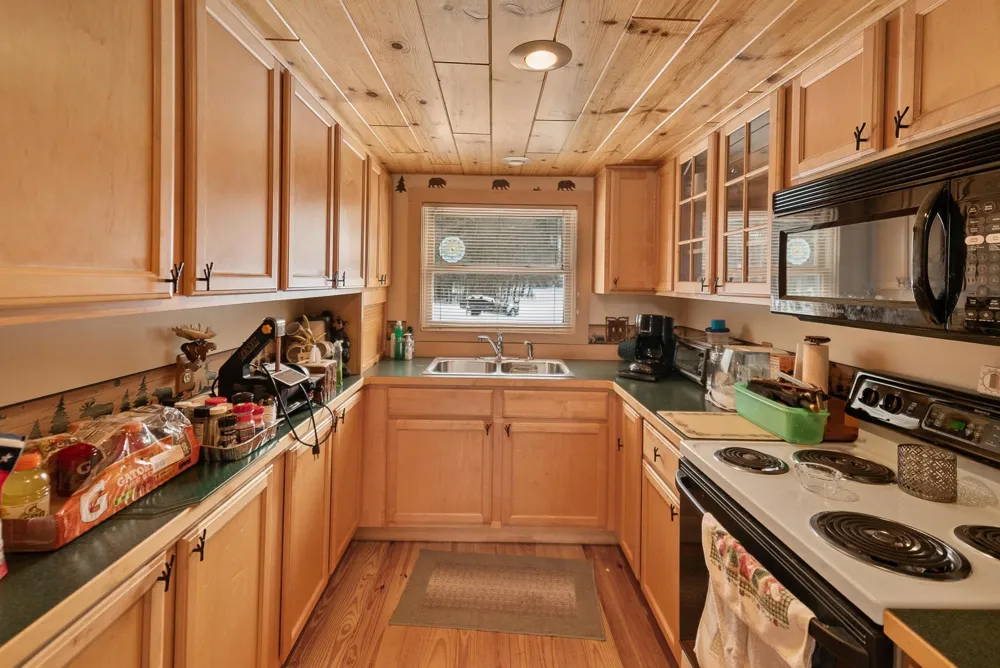 1133 W Thumb Lake Road Corwith Township, MI 49795