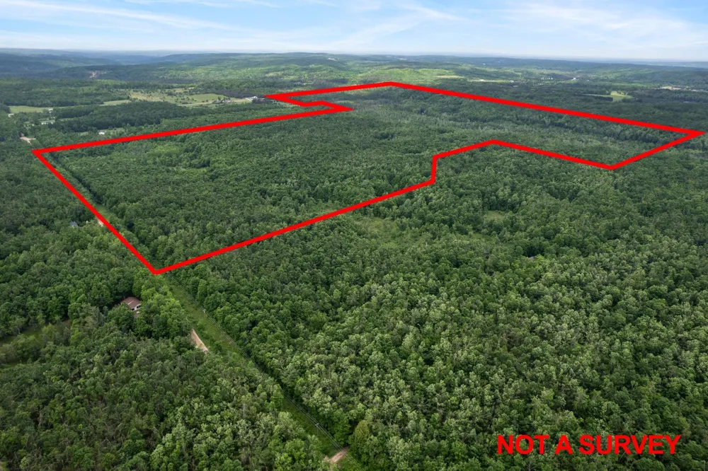 1133 W Thumb Lake Road Corwith Township, MI 49795