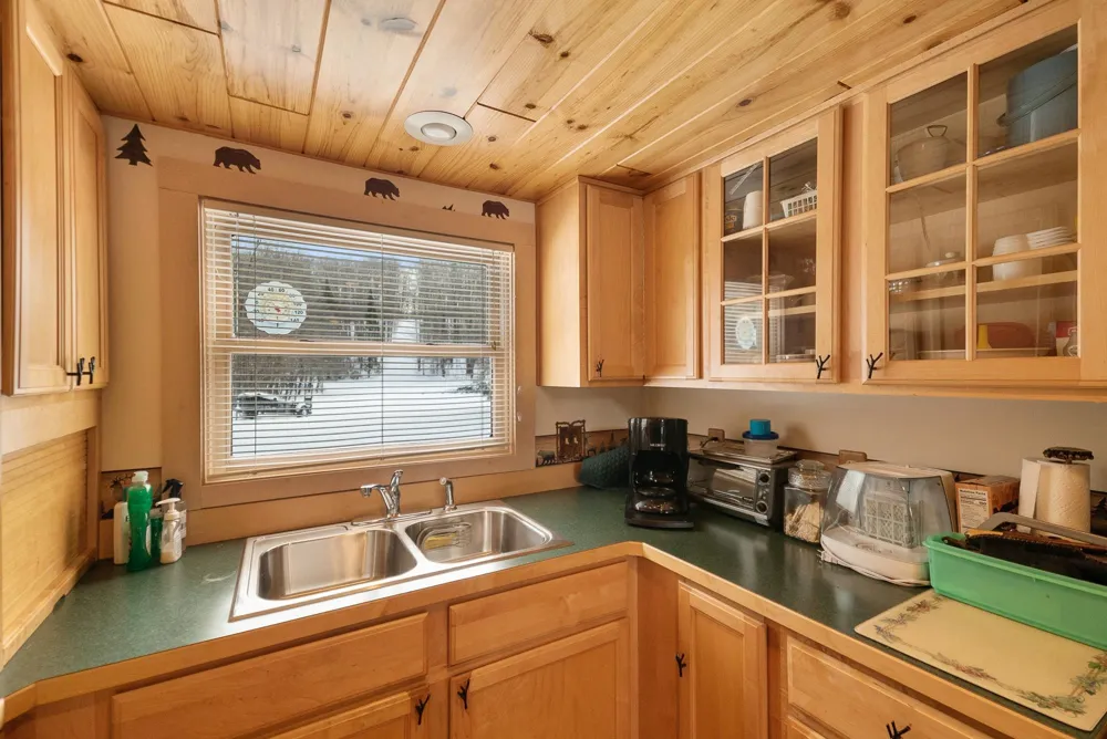 1133 W Thumb Lake Road Corwith Township, MI 49795