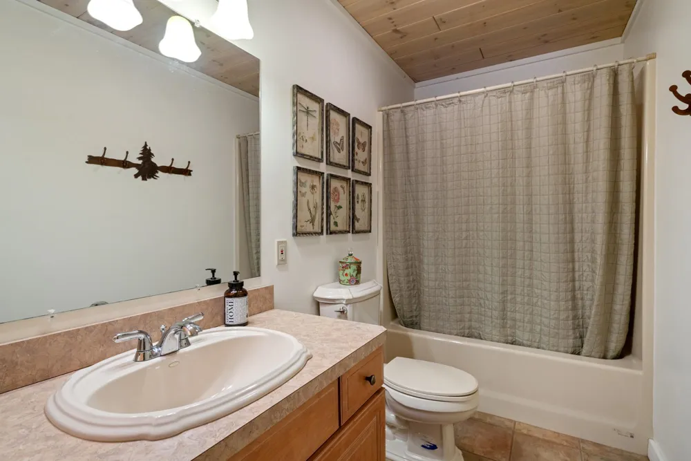 1133 W Thumb Lake Road Corwith Township, MI 49795