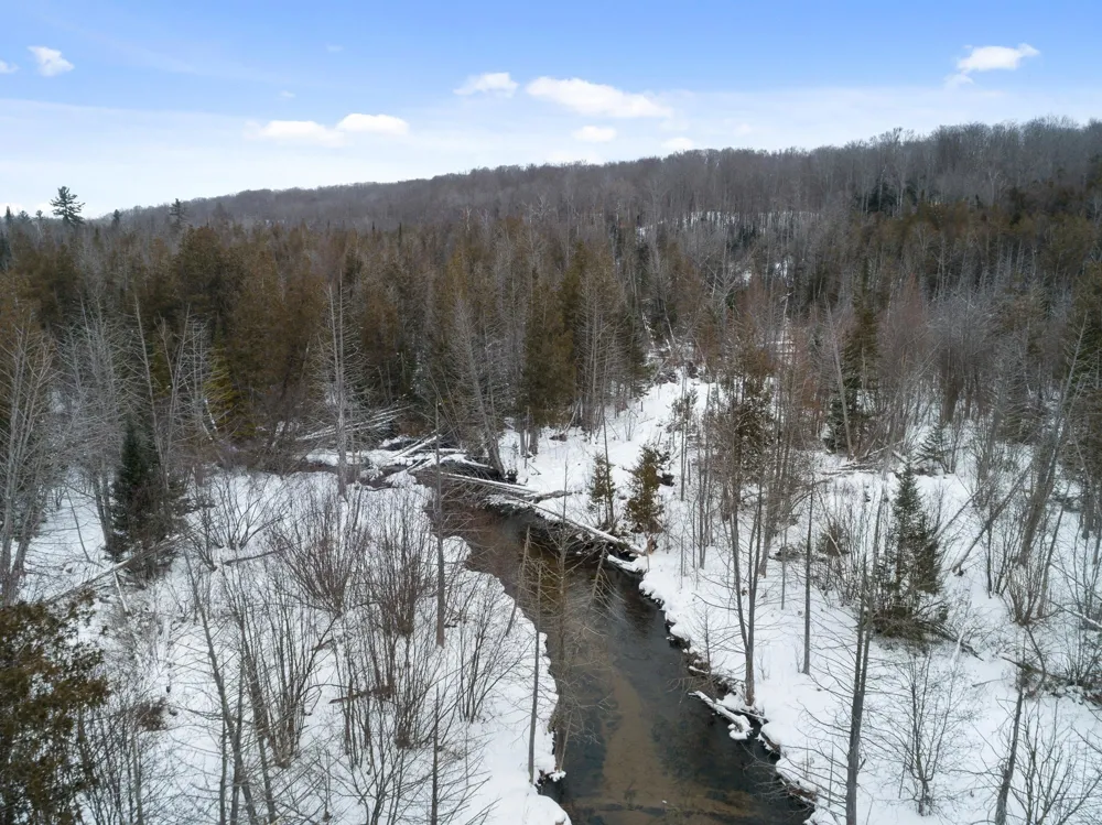 1133 W Thumb Lake Road Corwith Township, MI 49795
