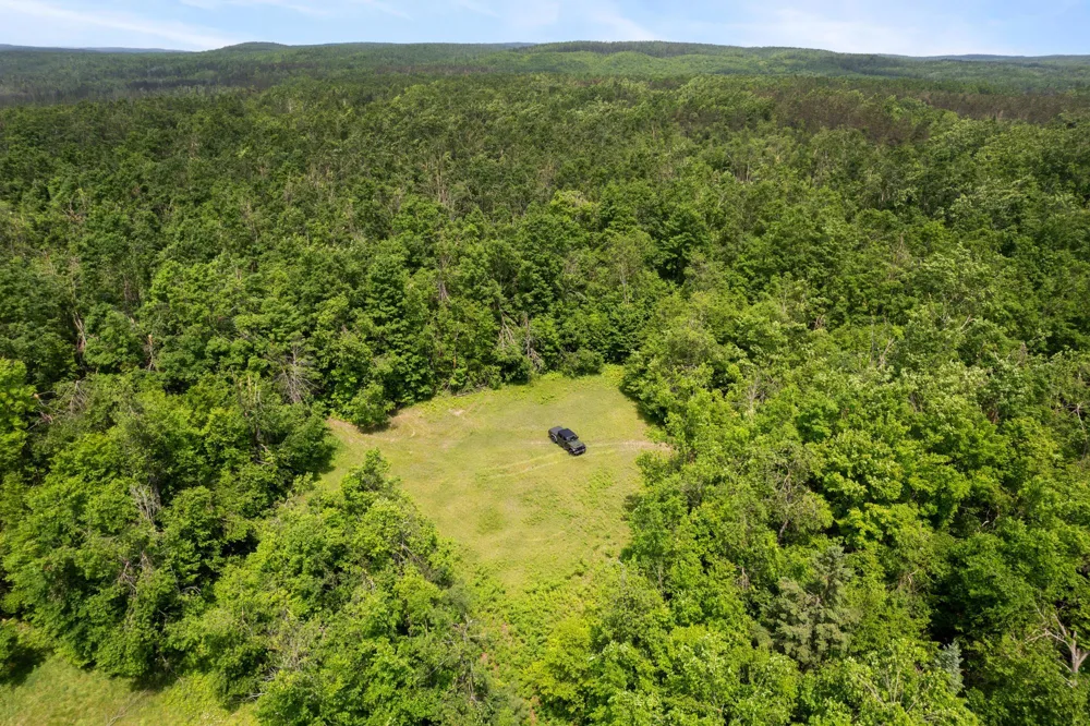 1133 W Thumb Lake Road Corwith Township, MI 49795