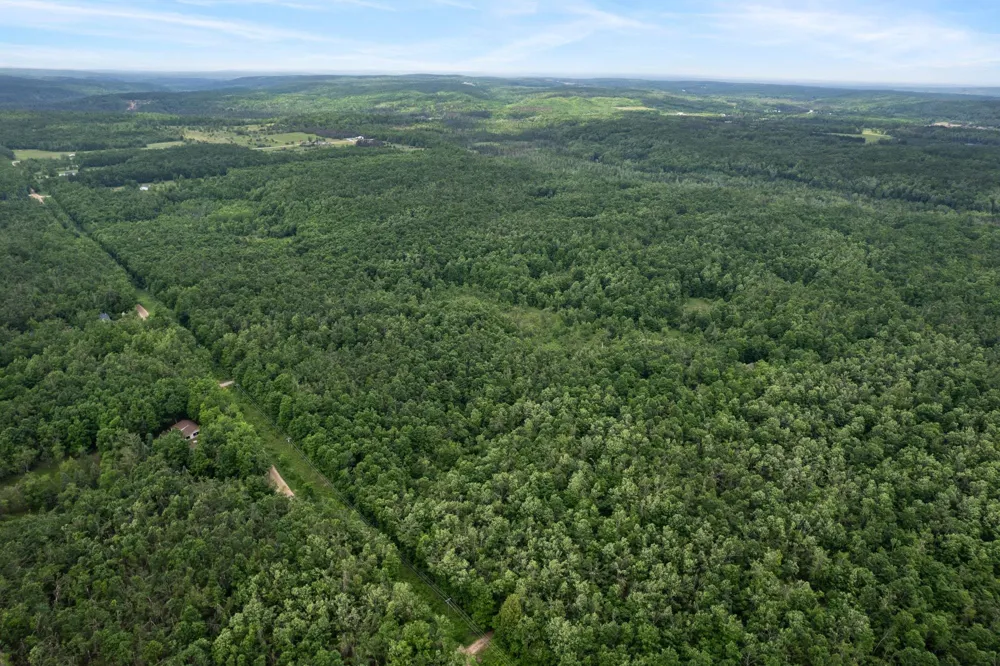 1133 W Thumb Lake Road Corwith Township, MI 49795