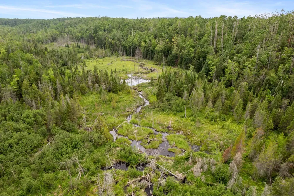 1133 W Thumb Lake Road Corwith Township, MI 49795