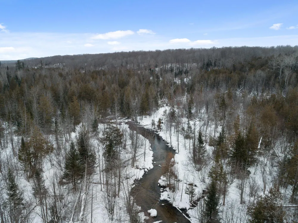 1133 W Thumb Lake Road Corwith Township, MI 49795