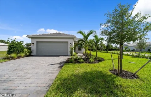 Florida Elm Court