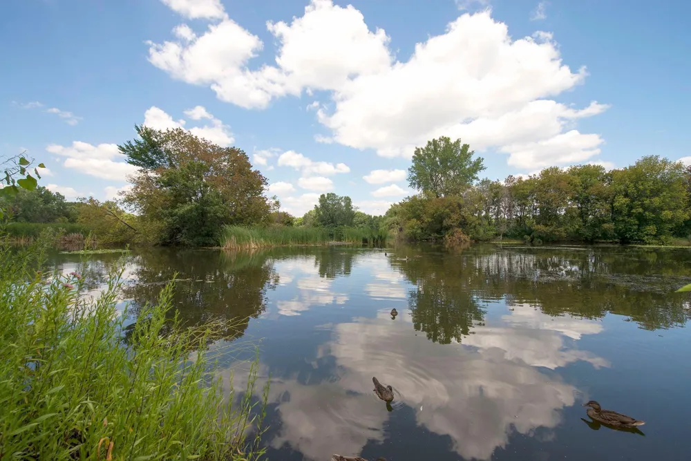 6500 Woodlake Drive #905 Richfield, MN 55423