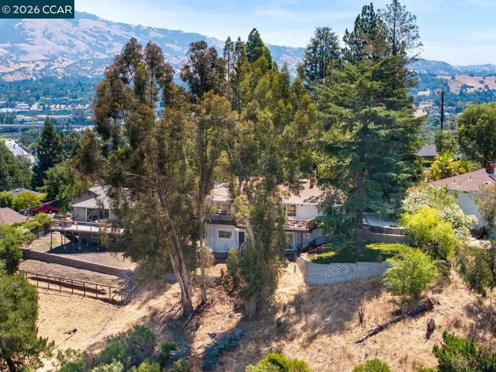16 Ruth Court Lafayette, CA 94549