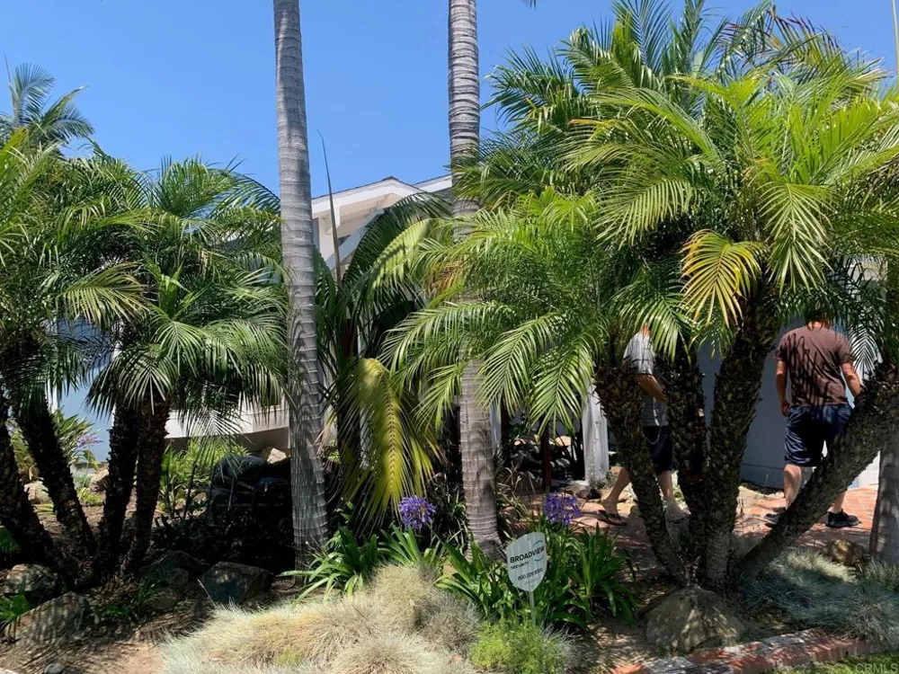 2496 Rudder Rd. Oceanside, CA 92054