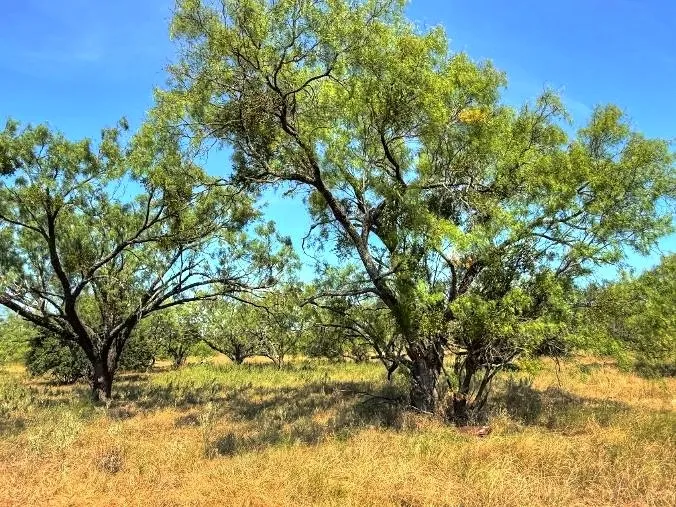 14 US Hwy 190 Highway Lometa, TX 78853