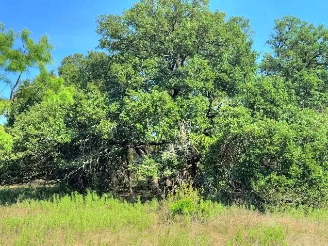 14 US Hwy 190 Highway Lometa, TX 78853