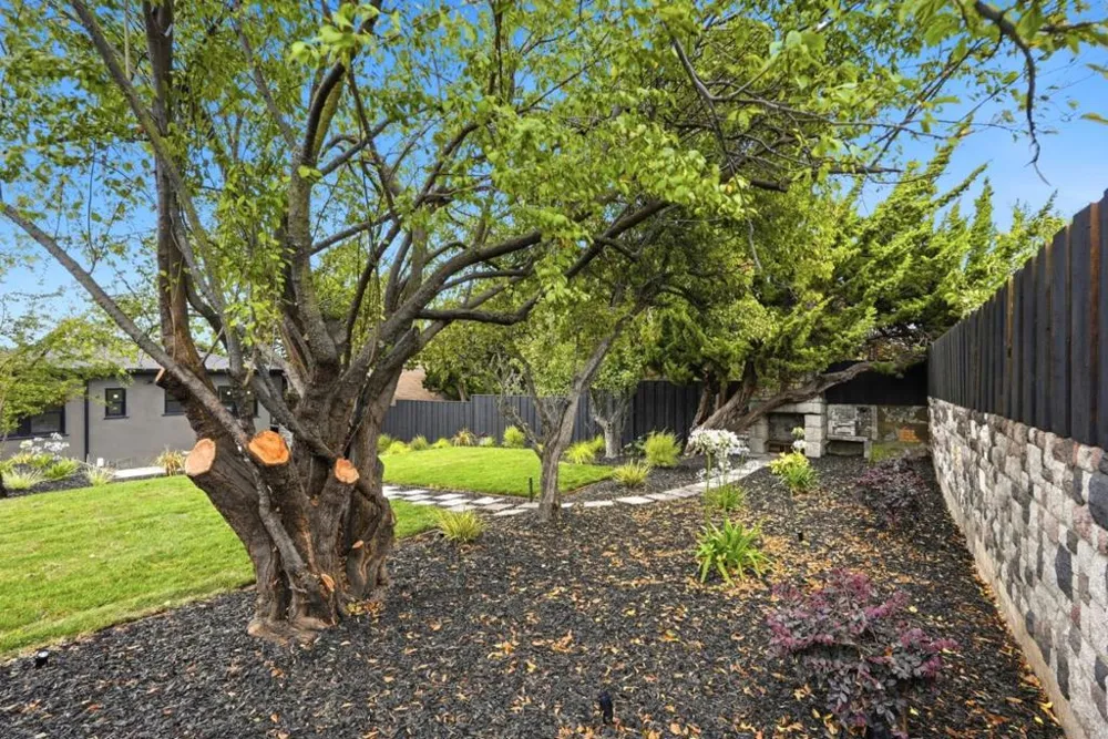 957 Neilson Street Albany, CA 94706