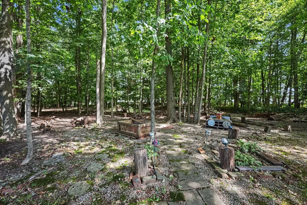 8967 18 Mile Road NE Cedar Springs, MI 49319