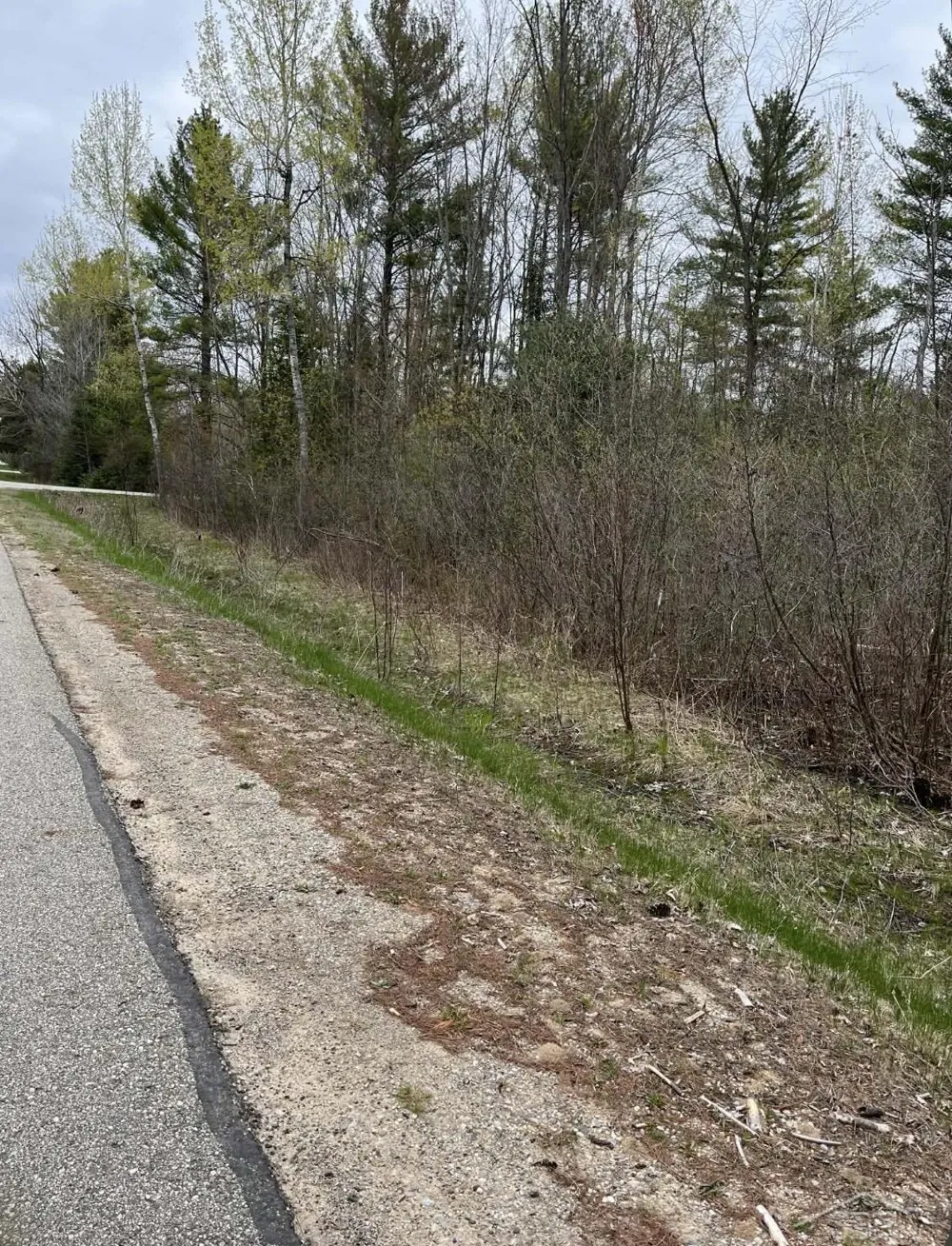 Beech Street Secord Township, MI 48624