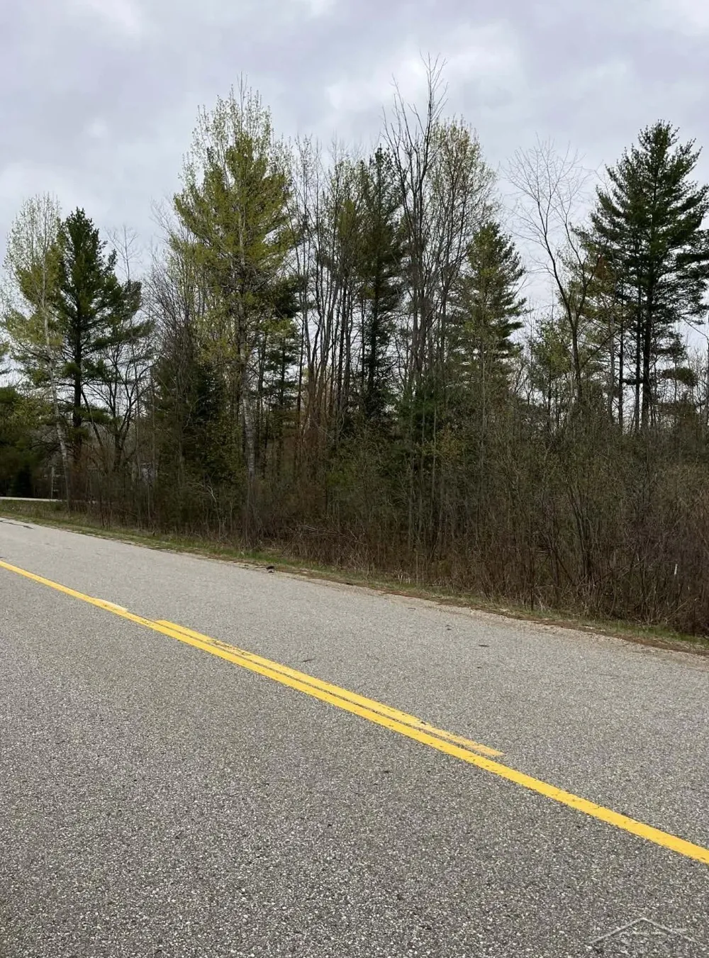 Beech Street Secord Township, MI 48624