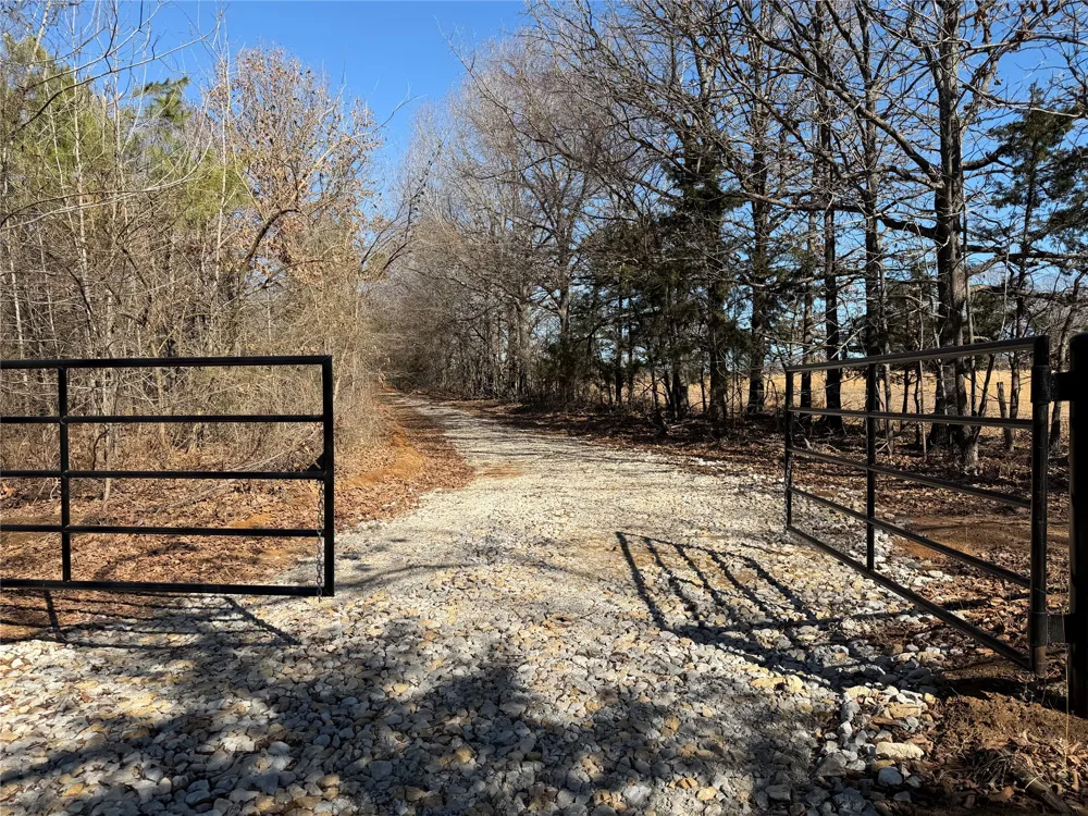 3055 FM 194 Blossom, TX 75416