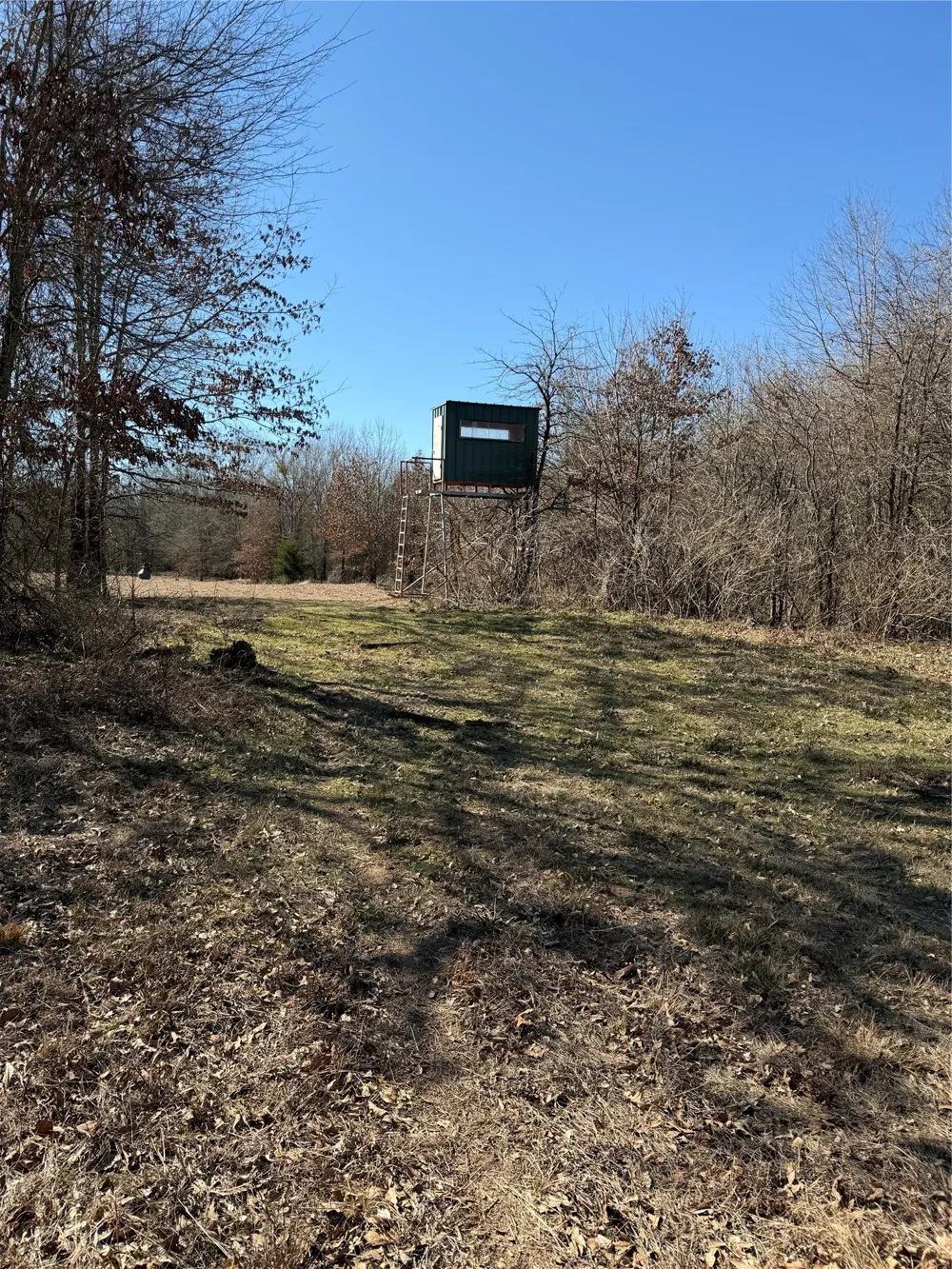 3055 FM 194 Blossom, TX 75416