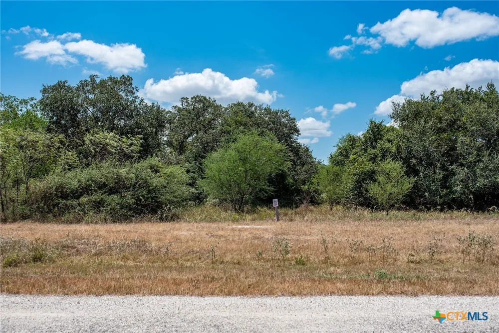 10 Sydnie Ranch Road Inez, TX 77968