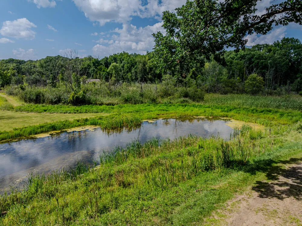 7373 Thornapple Dales Drive SE Caledonia Township, MI 49302