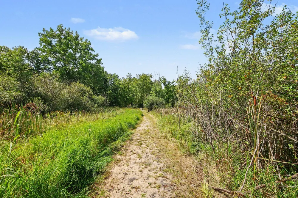 7373 Thornapple Dales Drive SE Caledonia Township, MI 49302