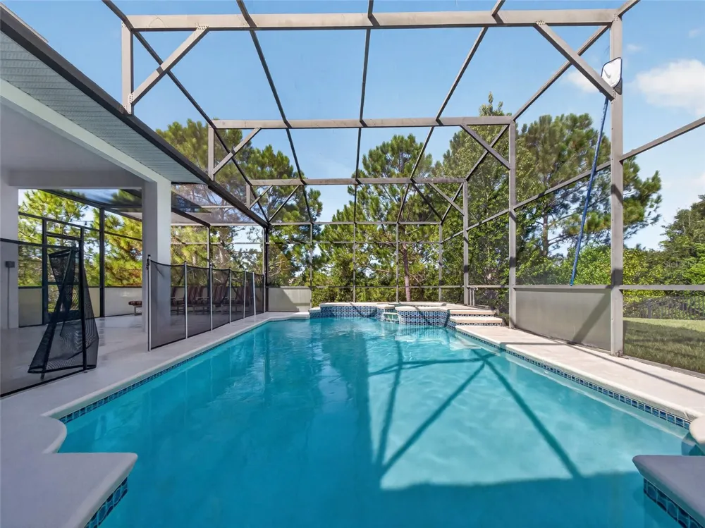 219 BLUE HERON COURT Davenport, FL 33837