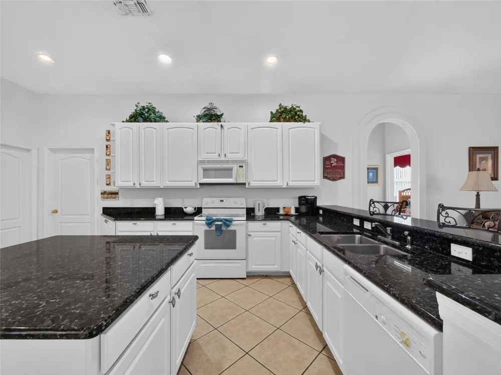 219 BLUE HERON COURT Davenport, FL 33837