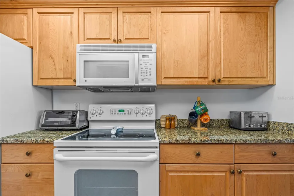 2055 S ATLANTIC AVENUE #307 Daytona Beach Shores, FL 32118