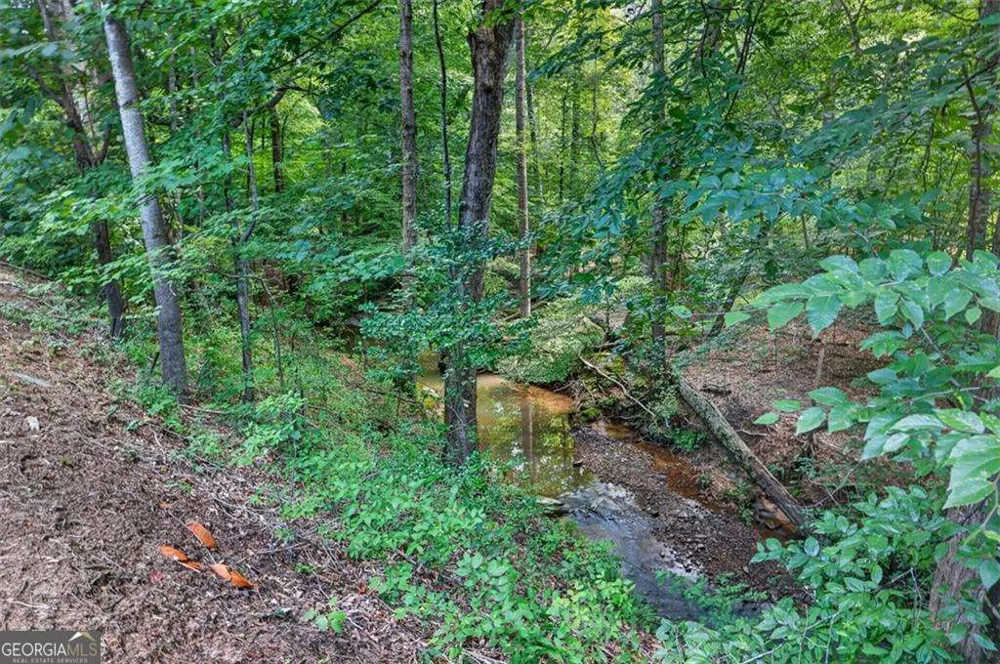 2294 Meadow's End Duluth, GA 30097