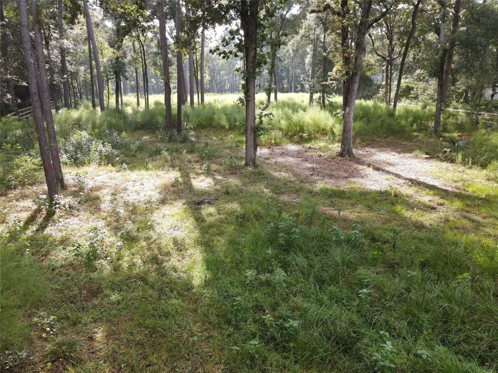 11313 Lake Forest Drive Conroe, TX 77384