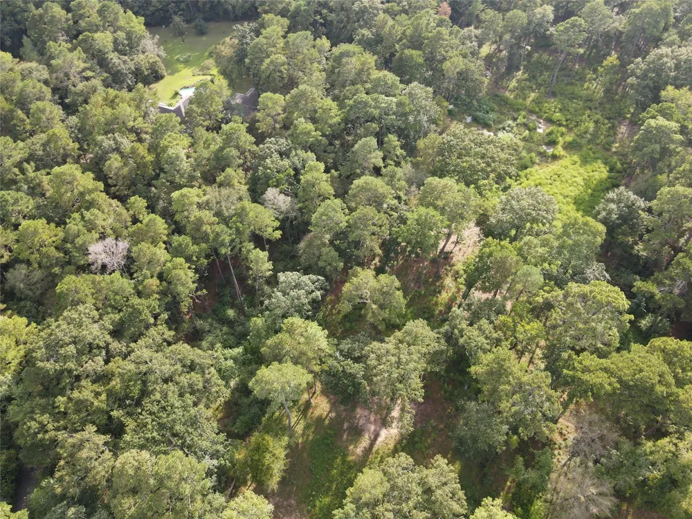 11313 Lake Forest Drive Conroe, TX 77384