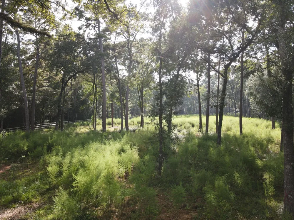11313 Lake Forest Drive Conroe, TX 77384