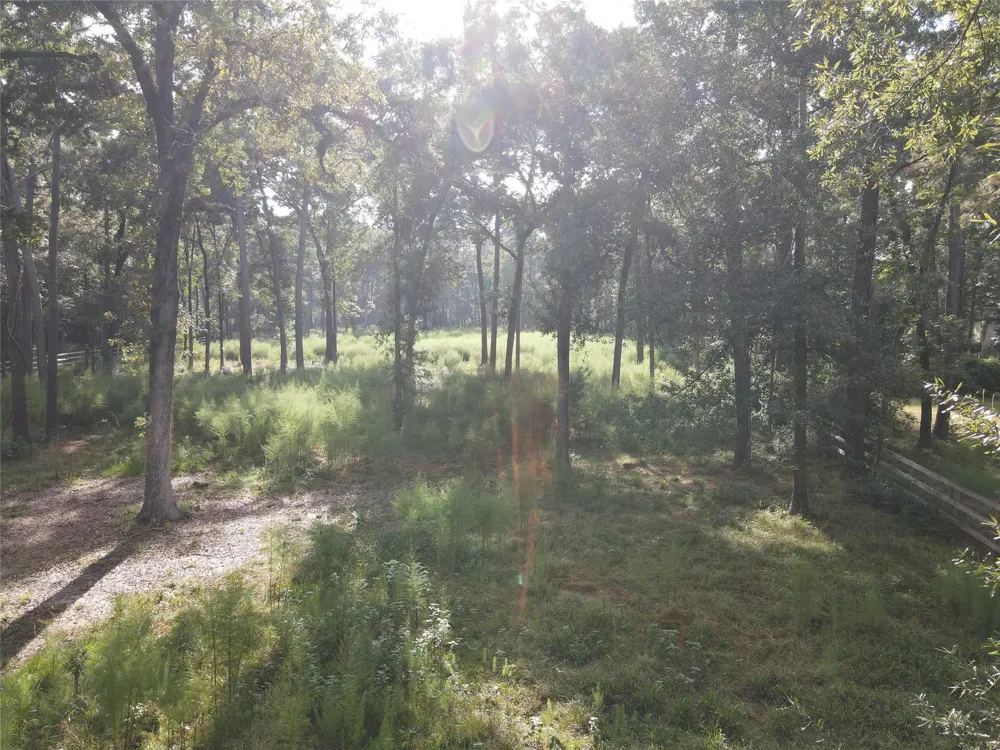 11313 Lake Forest Drive Conroe, TX 77384