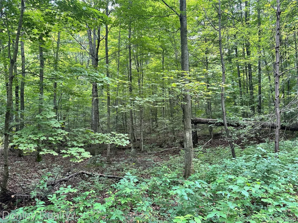 7795 County Road 571 NE Coldsprings Township, MI 49659