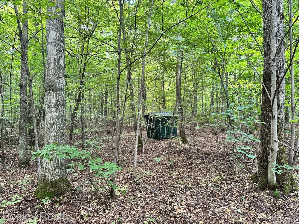 7795 County Road 571 NE Coldsprings Township, MI 49659