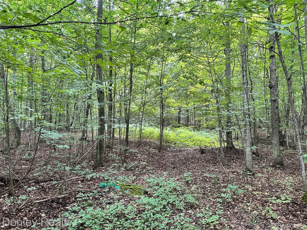 7795 County Road 571 NE Coldsprings Township, MI 49659