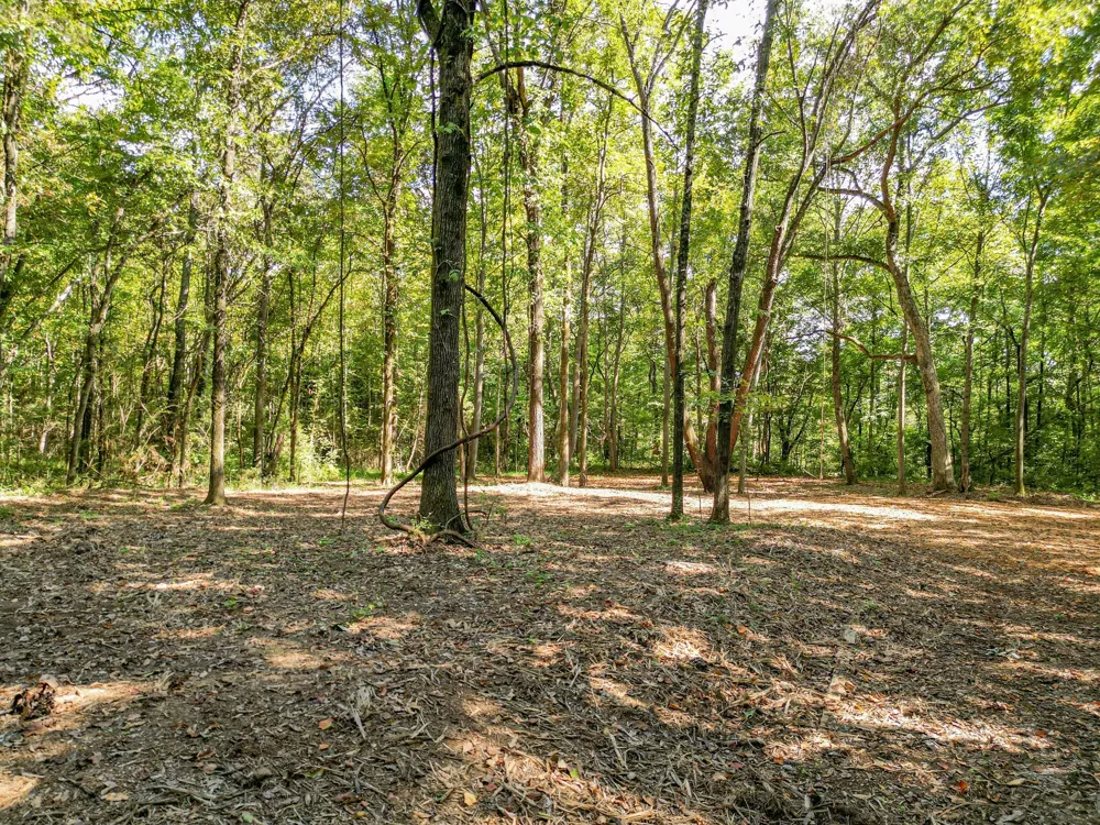 0 Old Highway 7 Columbia, TN 38401