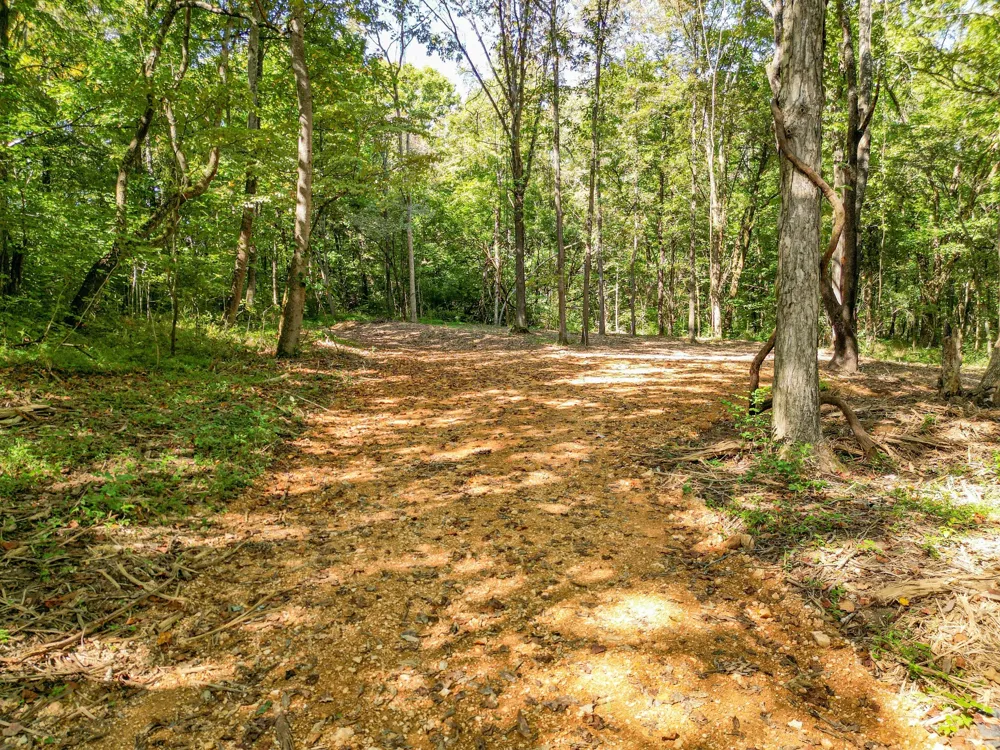 0 Old Highway 7 Columbia, TN 38401
